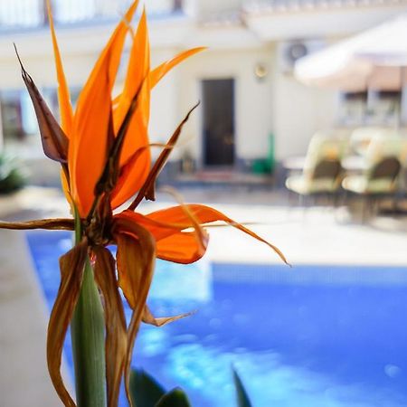 Villa Roan De Amberes Torrox Zewnętrze zdjęcie