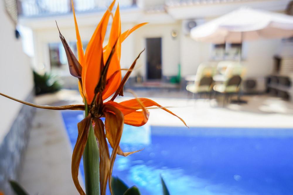 Villa Roan De Amberes Torrox Zewnętrze zdjęcie